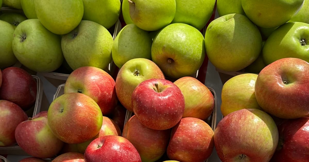A variety of red and green apples 